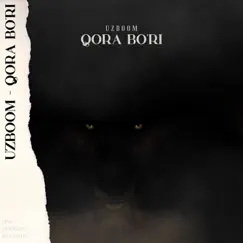 Qora Bo'ri - Single by UzBoom album reviews, ratings, credits