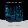 Night Sounds for Sleep or Focus Study album lyrics, reviews, download