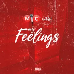 My Feelings - Single by Mic jaay album reviews, ratings, credits
