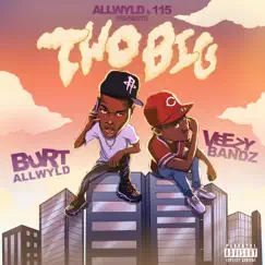 Two Big by Burt AllWyld & Veezy bandz album reviews, ratings, credits
