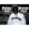 Hood Project, Vol. 1 album lyrics, reviews, download