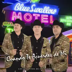 Cuando Te Acuerdes de Mi - Single by Los Gallitos de Chihuahua album reviews, ratings, credits