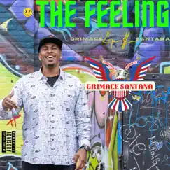 The Feeling - Single by Grimace Santana album reviews, ratings, credits
