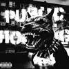 Public Housing (feat. Rx Papi) - Single album lyrics, reviews, download