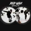 Bird Walk - Single album lyrics, reviews, download