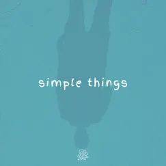 Simple Things (feat. Lily Potter) - Single by Adi. album reviews, ratings, credits