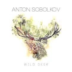 Wild Deer (инструментал) Song Lyrics