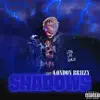 Shawdows - Single album lyrics, reviews, download