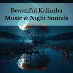 Beautiful Kalimba Music & Night Sounds by Holistic Therapist album reviews, ratings, credits