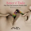 Amor é Tudo (Pat The Cat Summer Radio Edit) - Single album lyrics, reviews, download