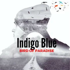 Bird of Paradise - Single by Indigo blue album reviews, ratings, credits