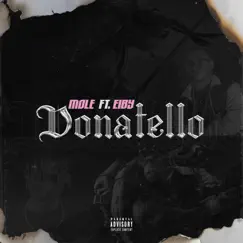 Donatello (feat. Eiby) - Single by Mole album reviews, ratings, credits
