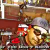 If You Don't Know (feat. DJ Jam) [Radio Edit] - Single album lyrics, reviews, download