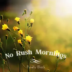No Rush Mornings by Purely Black album reviews, ratings, credits