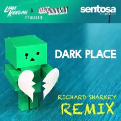 Dark Place (feat. A'Lisa B) [Richard Sharkey Remixes] - Single by Liam Keegan & Steve Robinson album reviews, ratings, credits