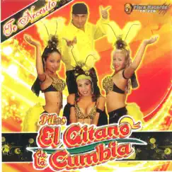 Te Necesito by El Gitano De La Cumbia album reviews, ratings, credits