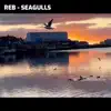 Seagulls - Single album lyrics, reviews, download