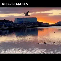 Seagulls - Single by Rolf Egil Bolle album reviews, ratings, credits