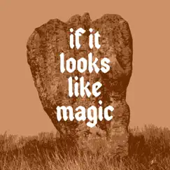 If It Looks Like Magic - Single by Amateur Ornithologist album reviews, ratings, credits