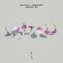 Indigo EP by Sultan + Shepard album reviews, ratings, credits