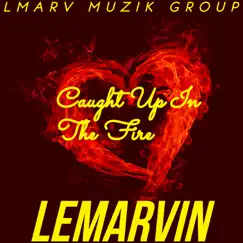 Caught up in the Fire - Single by LeMarvin album reviews, ratings, credits