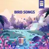Bird Songs song lyrics