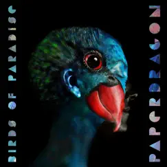 Birds of Paradise - EP by Paper Dragon album reviews, ratings, credits