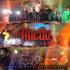 Me Metí En El Ruedo - Single by Banda Elemental de Mazatlán Sinaloa album reviews, ratings, credits