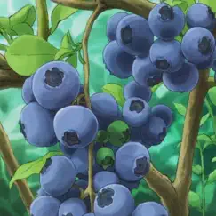 Blueberries Song Lyrics