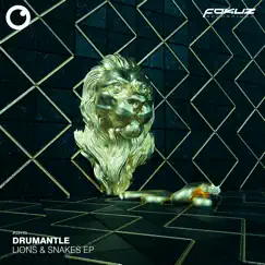 Lions & Snakes - EP by Drumantle album reviews, ratings, credits