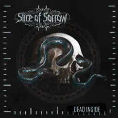 Dead Inside Song Lyrics