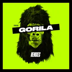 Gorila (Radio Edit) Song Lyrics