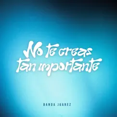 No Te Creas Tan Importante - Single by Banda Juarez album reviews, ratings, credits