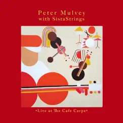 You Are the Only One (feat. SistaStrings) - Single by Peter Mulvey album reviews, ratings, credits
