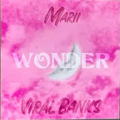 Wonder (feat. Viral Banks & Damnpablo) Song Lyrics