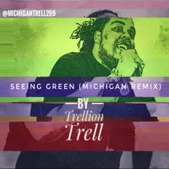 Seeing Green (Michigan RemiX) [Michigan RemiX] - Single by Trellion Trell album reviews, ratings, credits