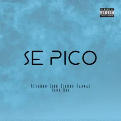SE PICO (feat. Tarmac) Song Lyrics