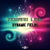 Dynamic Fields - Single album lyrics, reviews, download