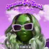 Operation Jay Sarah - Single album lyrics, reviews, download