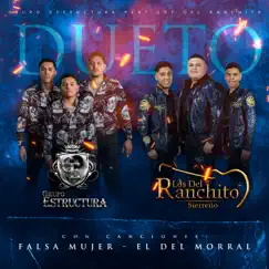 Falsa mujer (feat. Grupo Estructura) Song Lyrics