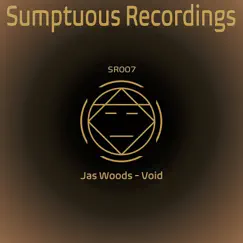 Void - Single by Jas Woods album reviews, ratings, credits