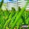 Touching Grass* - Single album lyrics, reviews, download
