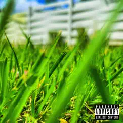 Touching Grass* Song Lyrics