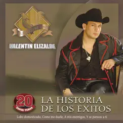 La Historia De Los Éxitos by Valentín Elizalde album reviews, ratings, credits