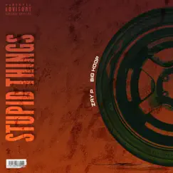 Stupid Things (feat. Zay P) Song Lyrics