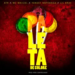 PALETA DE COLORE (feat. ATR, Mc Maicol, Yenssy NoteHaga & Lil Bray) - Single by Niño Controlando album reviews, ratings, credits