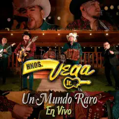 Un Mundo Raro (En Vivo) Song Lyrics