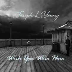 Wish You Were Here - Single by Joseph L. Young album reviews, ratings, credits