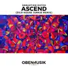 Ascend (Zico House Junkie Remix) - Single album lyrics, reviews, download