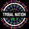 Tribal Nation, Vol. 2 album lyrics, reviews, download